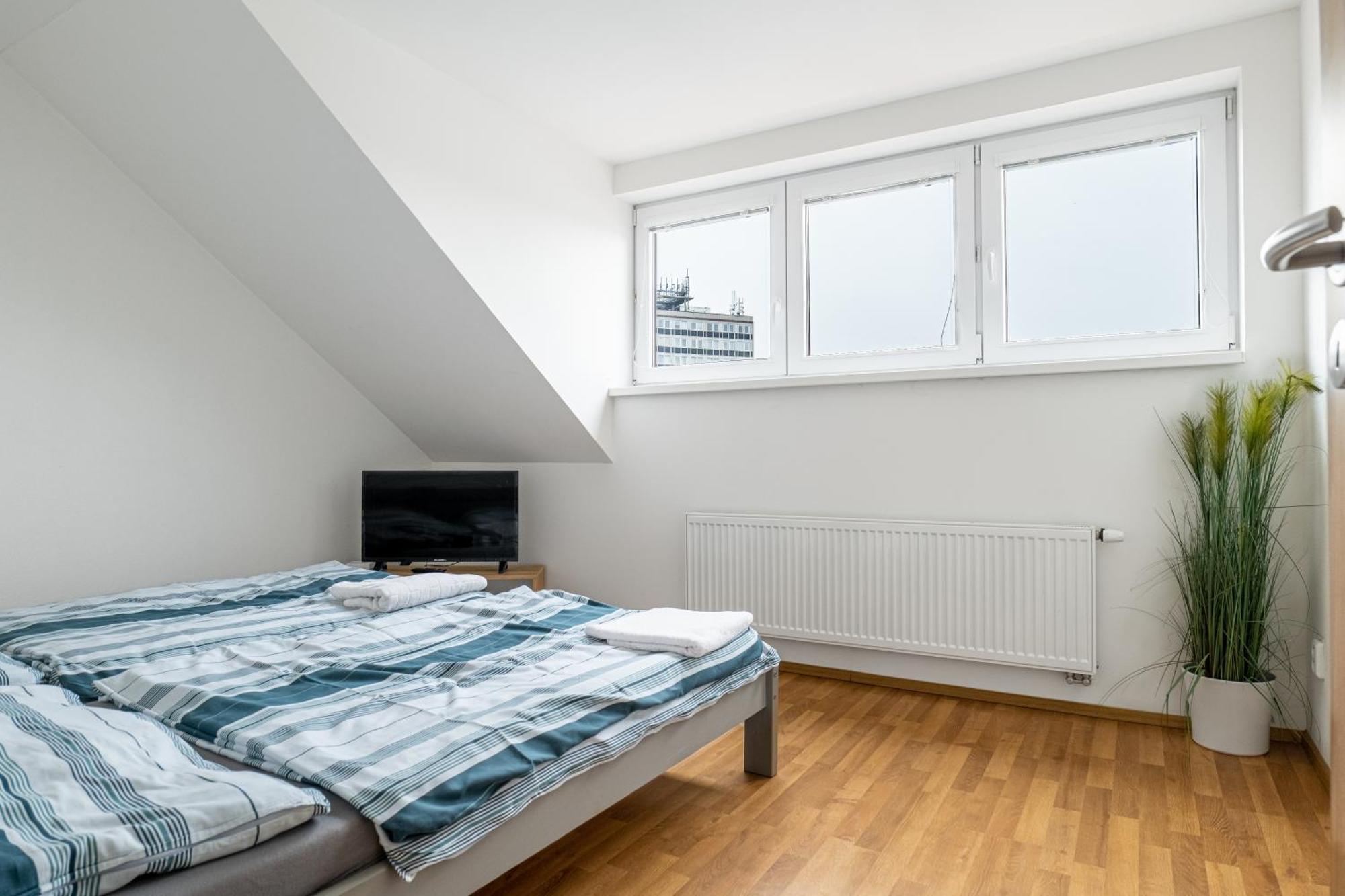 Apartmany Borska פלזן מראה חיצוני תמונה