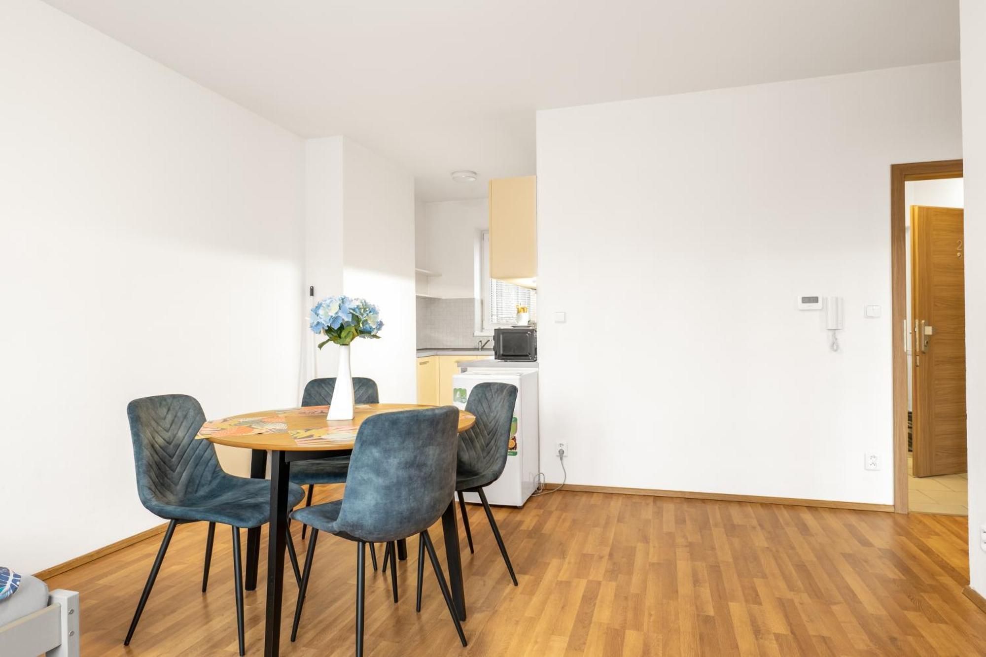 Apartmany Borska פלזן מראה חיצוני תמונה